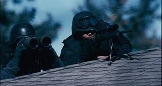 Keskin Nişancılar ve Silahları