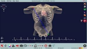 Simülasyon Tabanlı e-Öğrenme Örnekleri
