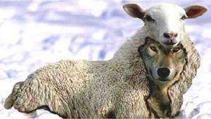 Kandırılan ve Kandıran İnsan