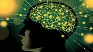 İNSAN BEYNİNİN SIRLARI