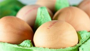 AVRUPA BİRLİĞİ ÜLKELERİNDE ZEHİRLİ YUMURTA SKANDALI