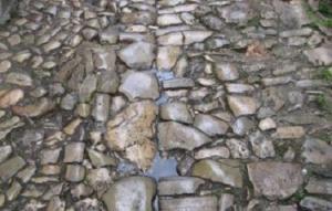 KÜRDİSTAN YOLUNA TAŞ DÖŞEYENLER