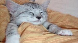 TEMİZ BİR YATAKTA İYİ BİR UYKUNUN İPUÇLARI