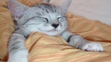 TEMİZ BİR YATAKTA İYİ BİR UYKUNUN İPUÇLARI