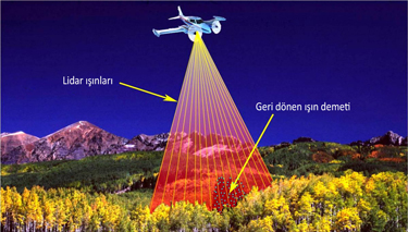 Bitki Örtüsü Altının Görülmesi ve Haritalanmasında LiDAR Kullanımı