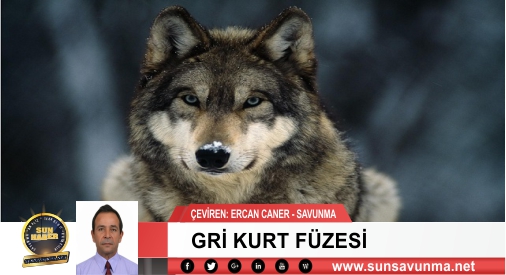 Gri Kurt Füzesi