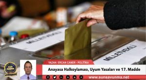 Anayasa Halkoylaması, Uyum Yasaları ve 17. Madde