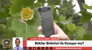 Bitkiler Birbirleri ile Konuşur mu?