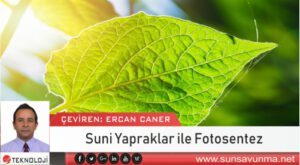 Suni Yapraklar ile Fotosentez