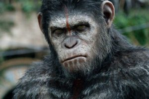 Dünyanın İlk İnsan Maymunu Çin’de Yaratıldı