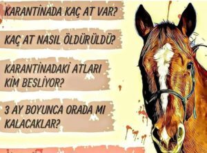 ADALAR, ATLAR VE KARANTİNA