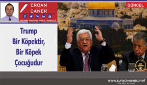 Trump Bir Köpektir, Bir Köpek Çocuğudur