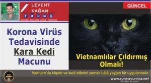 Korona Virüs Tedavisinde Kara Kedi Macunu