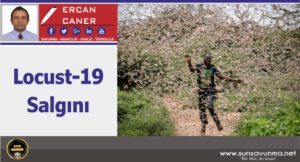 Locust-19 Salgını