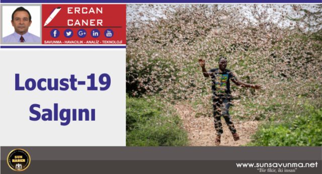 Locust-19 Salgını