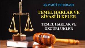 TEMEL HAKLAR VE ÖZGÜRLÜKLER