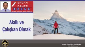 Akıllı ve Çalışkan Olmak Neden Yetmiyor?