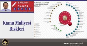 Kamu Maliyesi Riskleri