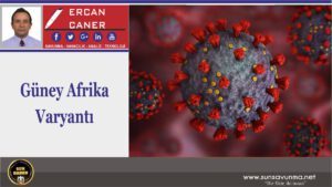 Güney Afrika Varyantı