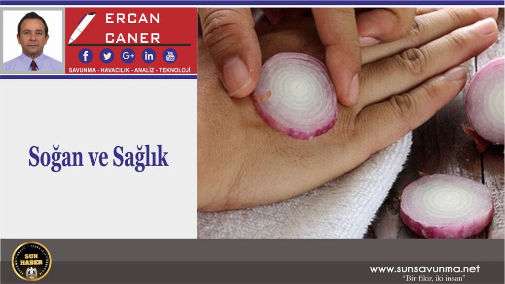 Soğan ve Sağlık