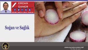 Soğan ve Sağlık
