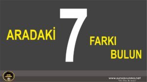 ARADAKİ YEDİ FARKI BULUN