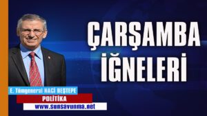 ÇARŞAMBA İĞNELERİ