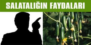 Salatalığın Faydaları