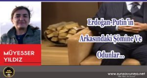 Erdoğan-Putin’in Arkasındaki Şömine Ve Odunlar…