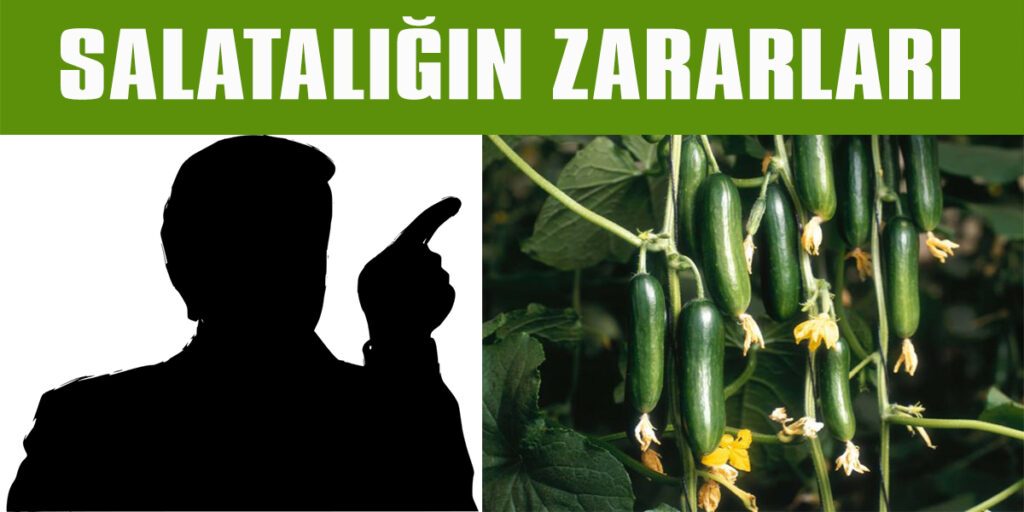 Salatalığın Zararları
