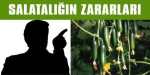 Salatalığın Zararları