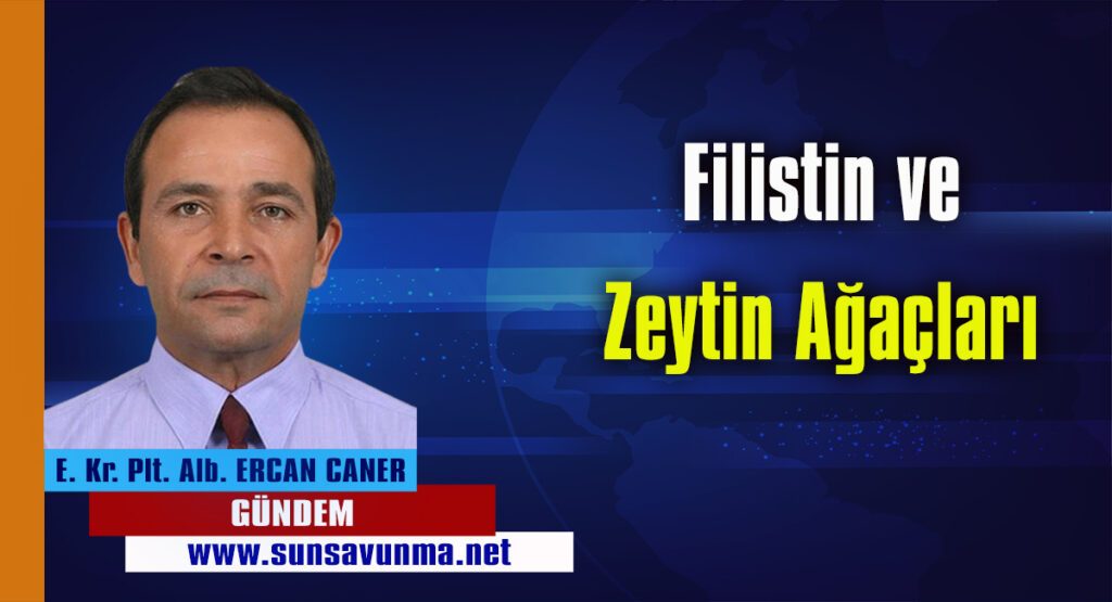 Filistin ve Zeytin Ağaçları