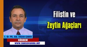 Filistin ve Zeytin Ağaçları