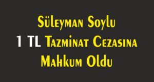 Süleyman Soylu 1 TL Tazminat Cezasına Mahkum Oldu