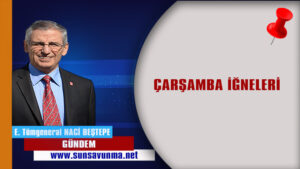 ÇARŞAMBA İĞNELERİ