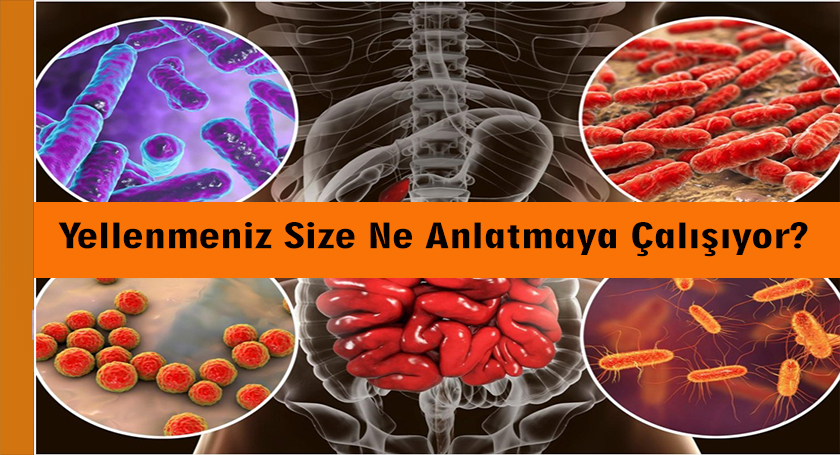 Yellenmeniz Size Ne anlatmaya Çalışıyor?