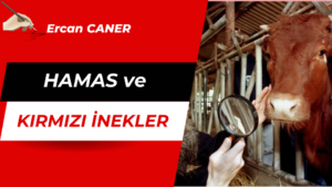 Hamas & Kırmızı İnekler