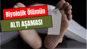 Biyolojik Ölümün Altı Aşaması