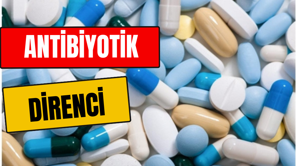Antibiyotik Direnci