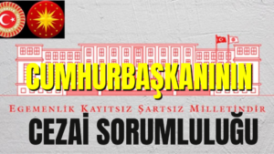 Cumhurbaşkanının Cezai Sorumluluğu
