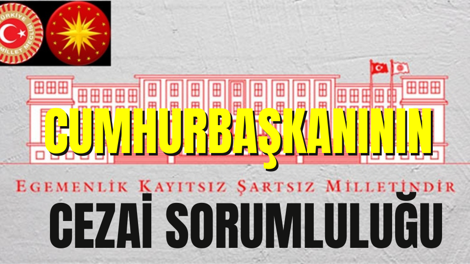 Cumhurbaşkanının Cezai Sorumluluğu