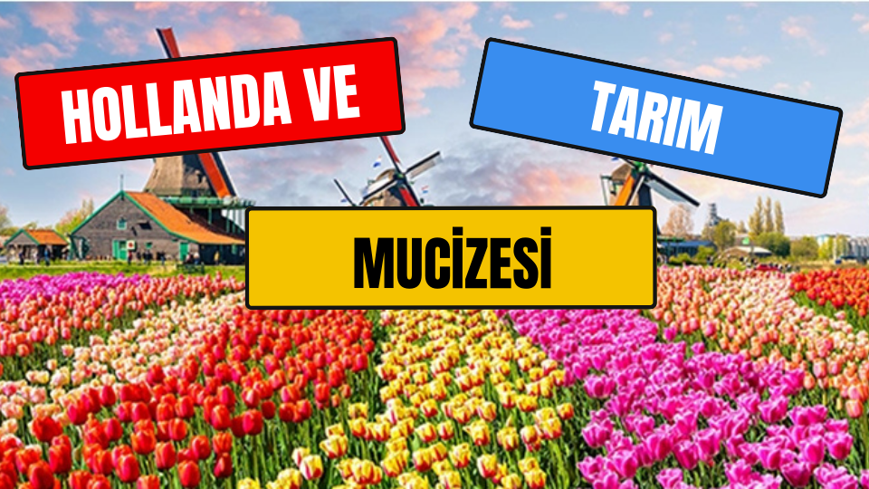 Hollanda ve Tarım Mucizesi