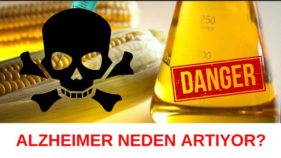 ALZHEIMER NEDEN ARTIYOR?