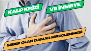 Kalp Krizi ve İnmeye Sebep Olan Damar Kireçlenmesi