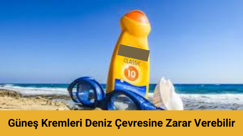 Güneş Kremleri Deniz Çevresine Zarar Verebilir