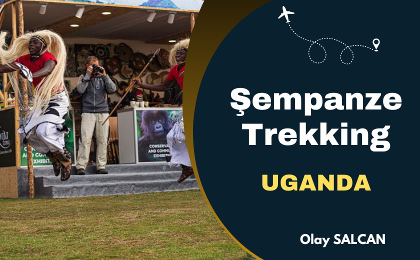 ŞEMPANZE TREKKİNG, UGANDA