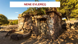 NENE EVLERİ