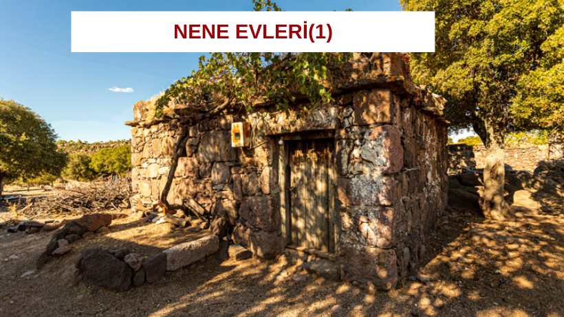 NENE EVLERİ