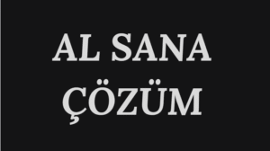 AL SANA ÇÖZÜM
