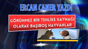 Görünmez Bir Tehlike Kaynağı Olarak Başıboş Hayvanlar